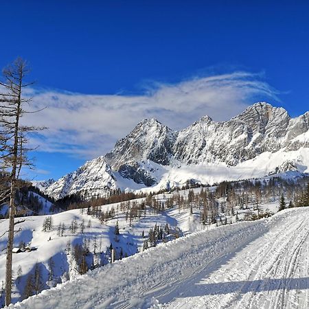 Brandhof - Chalets Am Berg Villa Ramsau am Dachstein Ngoại thất bức ảnh