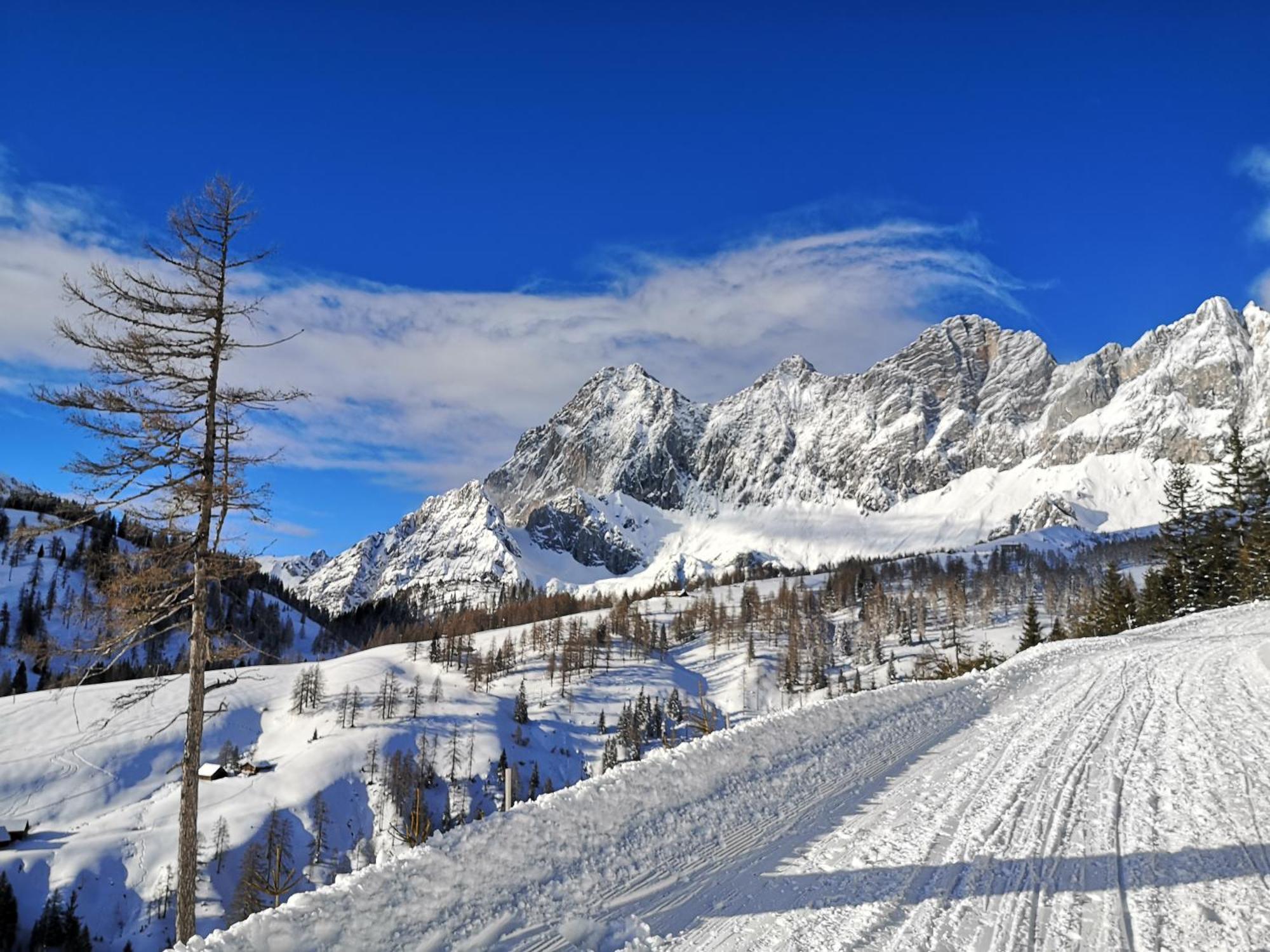 Brandhof - Chalets Am Berg Villa Ramsau am Dachstein Ngoại thất bức ảnh