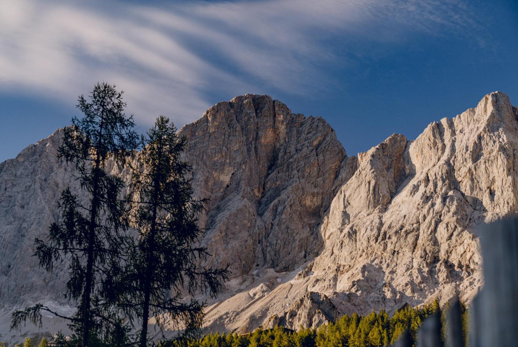 Brandhof - Chalets Am Berg Villa Ramsau am Dachstein Ngoại thất bức ảnh